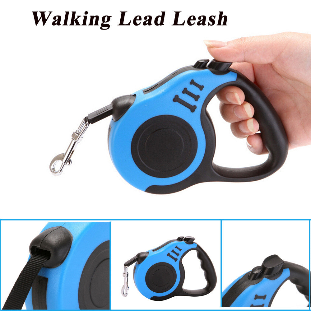 Auto Dog Leashes